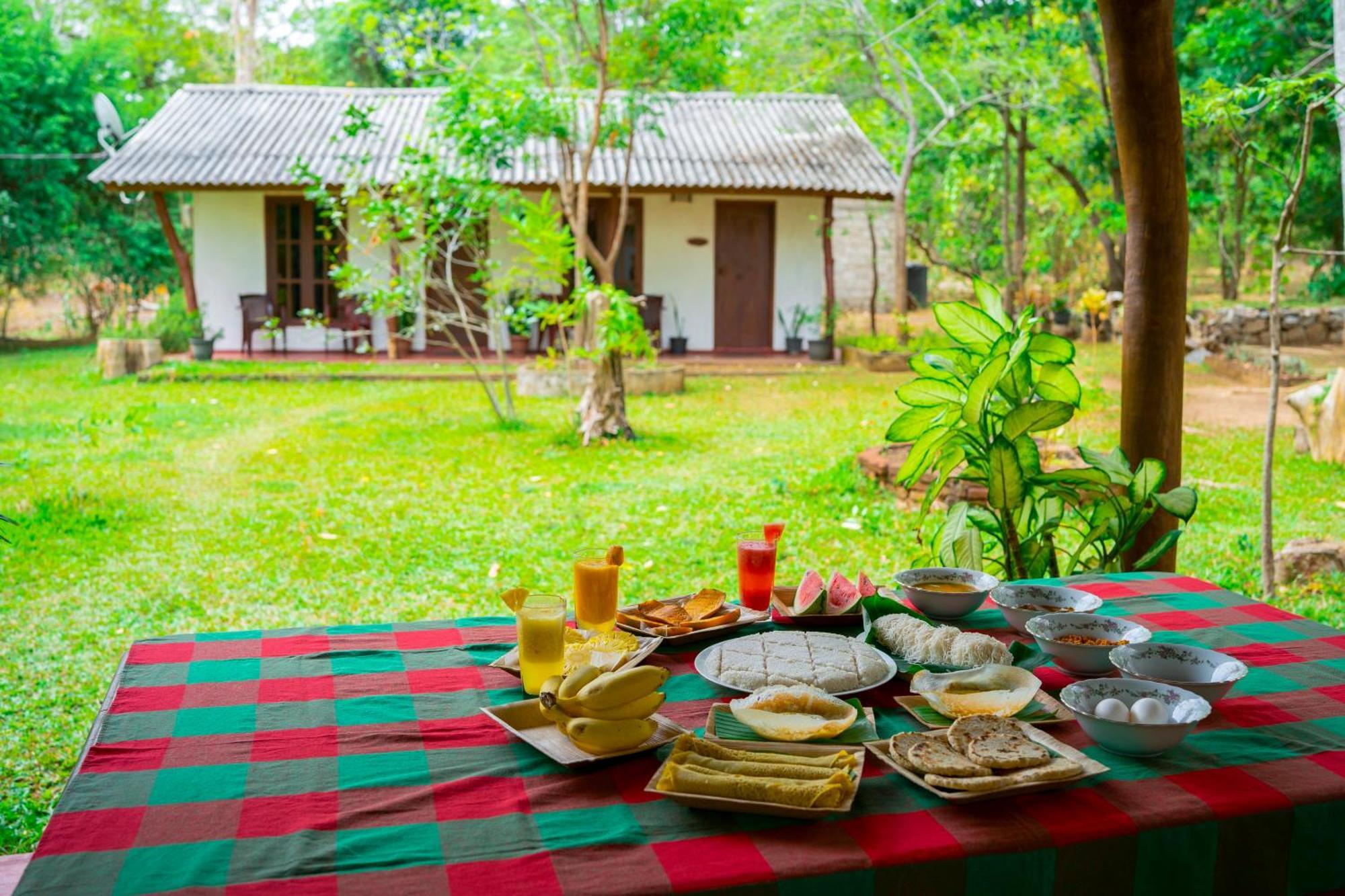 Wild Hut Habarana Bed & Breakfast Luaran gambar