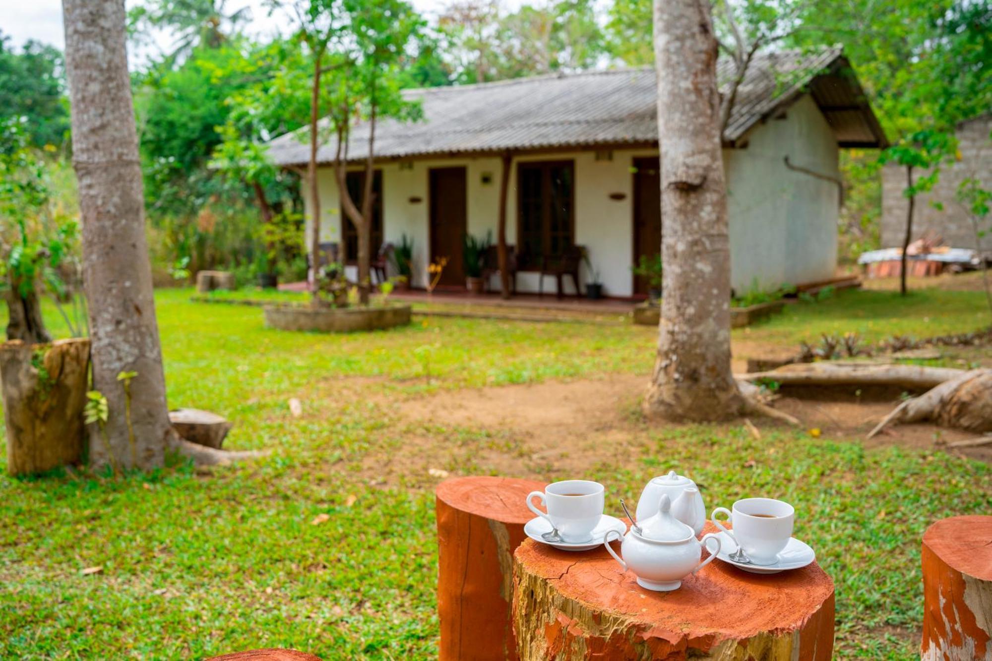 Wild Hut Habarana Bed & Breakfast Luaran gambar