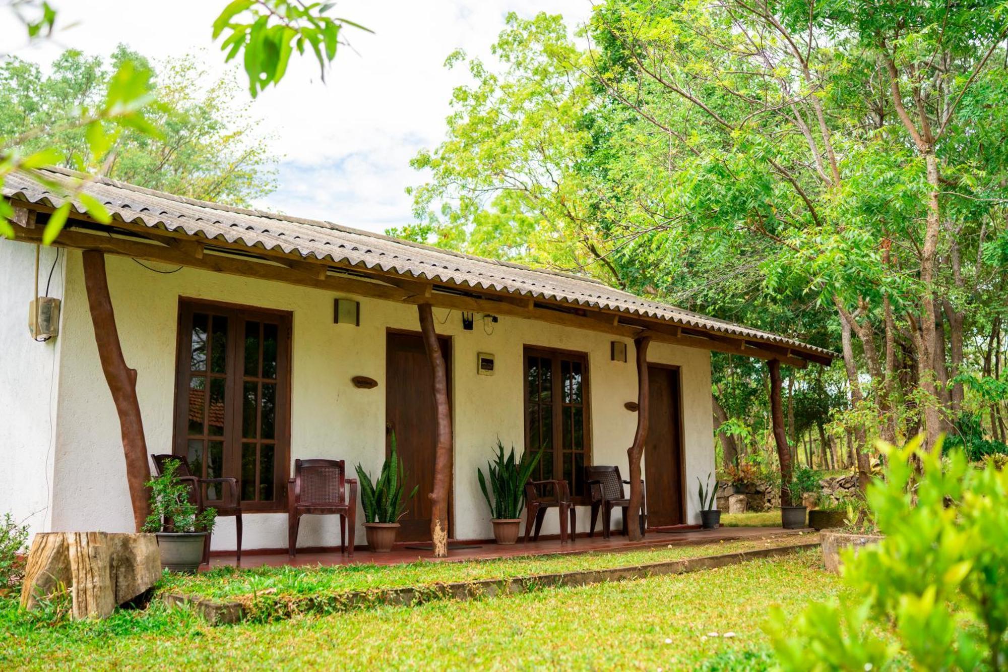 Wild Hut Habarana Bed & Breakfast Luaran gambar